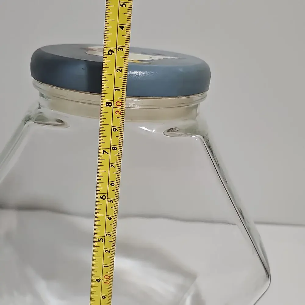 County Goose Hexagonal Clear Glass Storage Jar Wooden Lid Canister